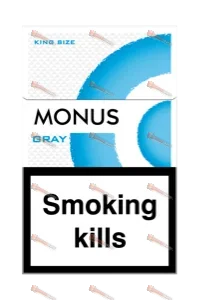 MONUS GRAY King size